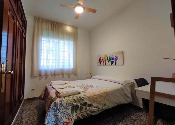 La Casa Del Olivo En *