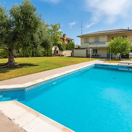 La Casa Del Olivo En