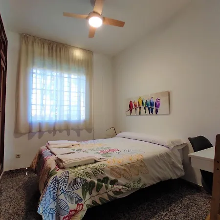 La Casa Del Olivo En *