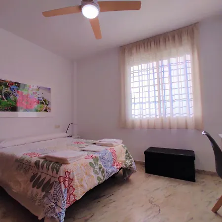 La Casa Del Olivo En