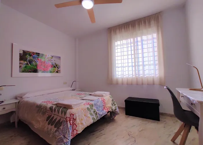 La Casa Del Olivo En