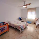 La Casa Del Olivo En *